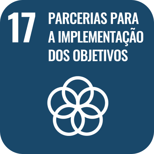 SDG 17 icon